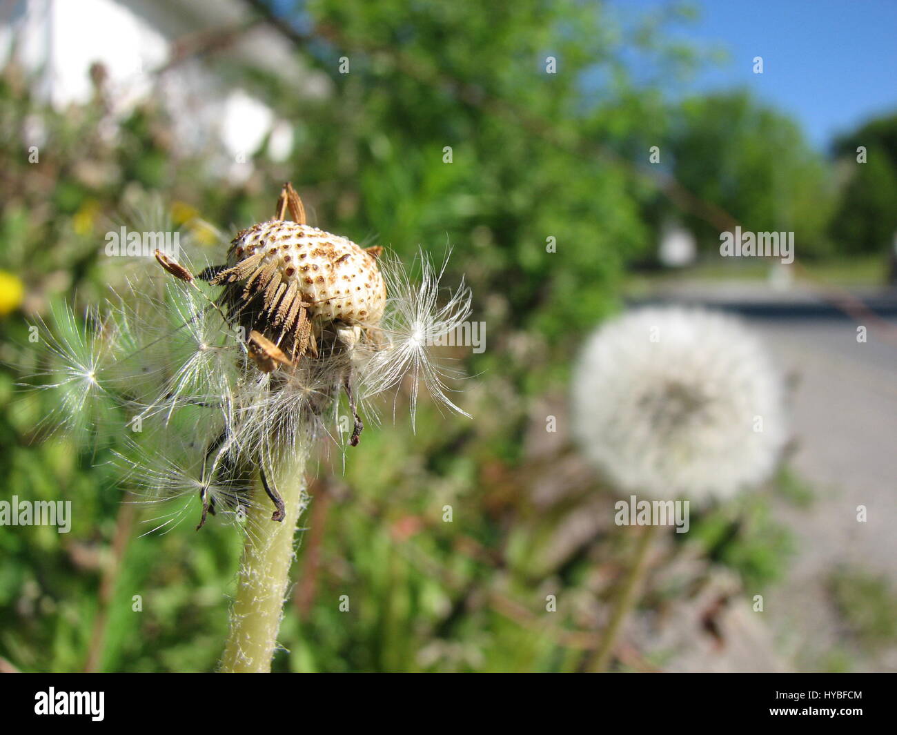Awesome beauty in nature hi-res stock photography and images - Alamy