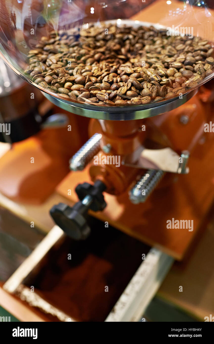 Coffee beans in a coffee grinder with millstones Stock Photo