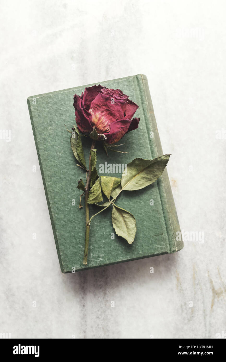 Old book with beautiful dried rose, from above Stock Photo Alamy