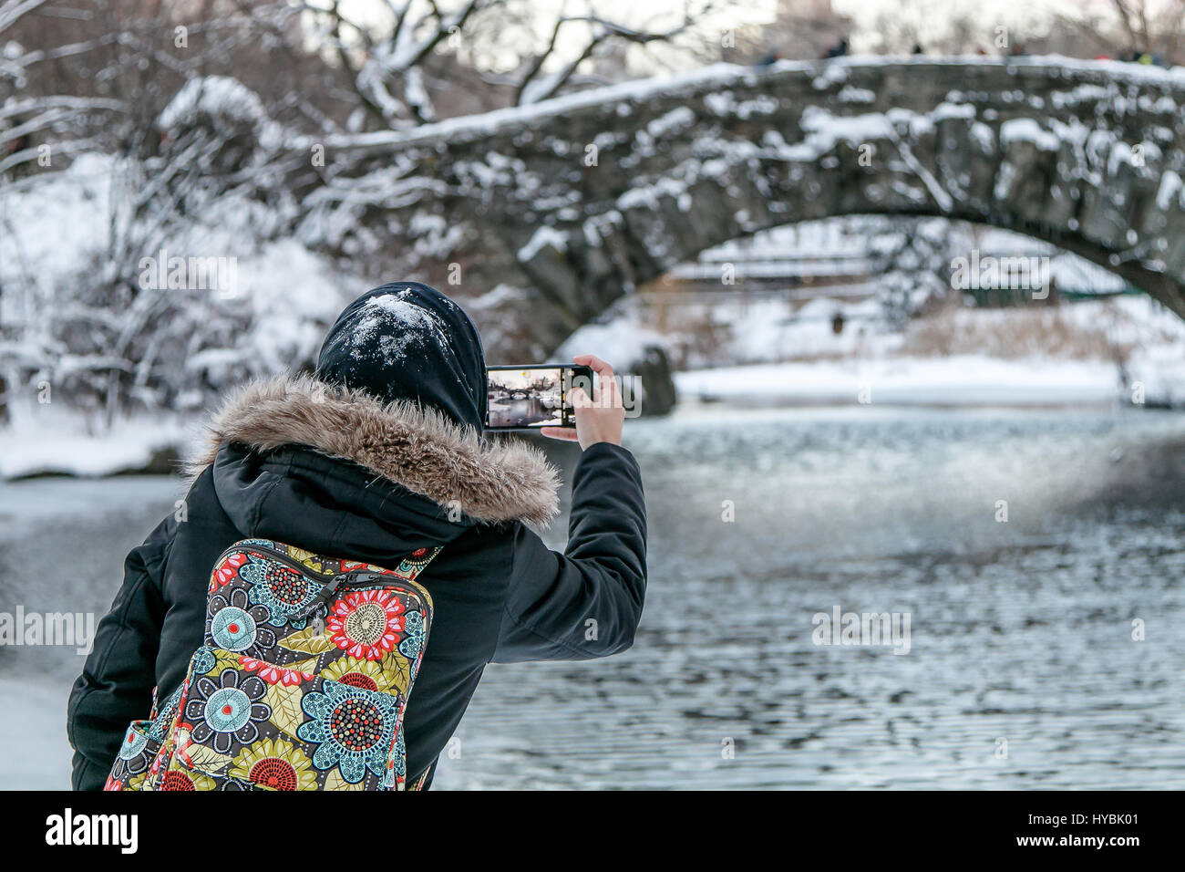 A woman is using her smartphone to take a picture of a bridge in Central Park. Stock Photo