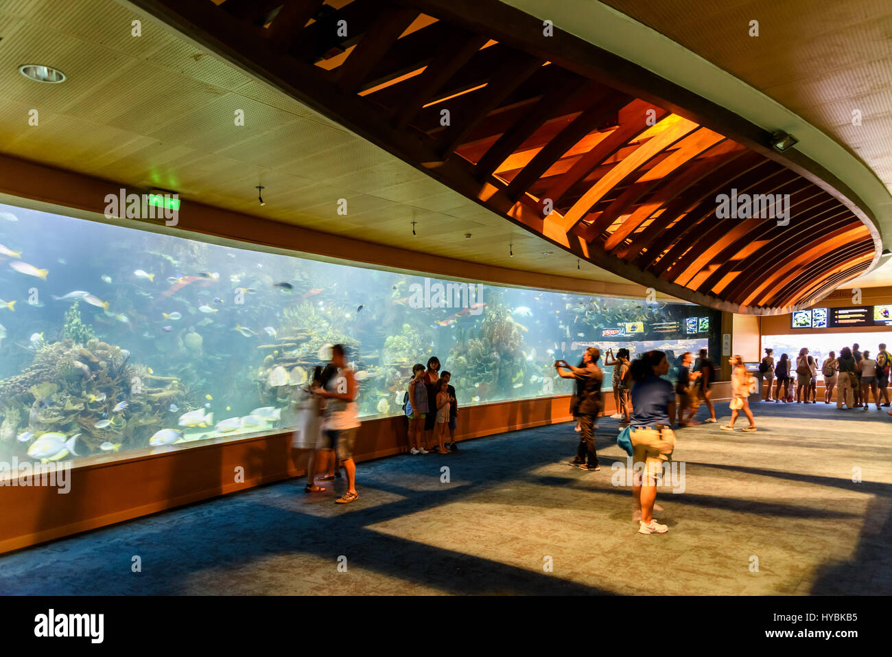 VALENCIA, SPAIN - JULY 29, 2016: L'Oceanografic (The Oceanographic) is an oceanarium situated in the east of the city of Valencia, where are represent Stock Photo