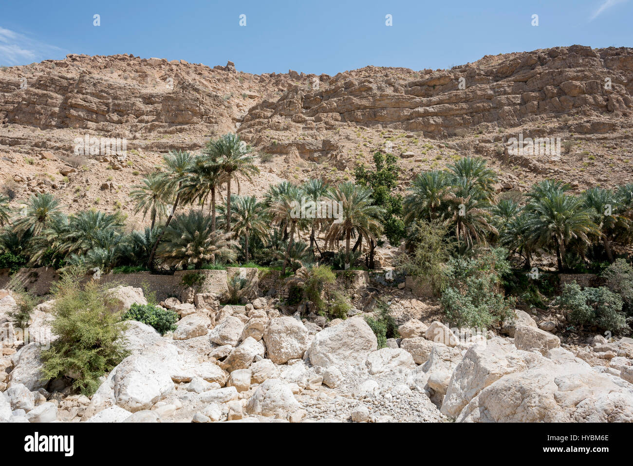 Palm grove and typical arabian garden in Wadi Bani Khalid, Sultanate of