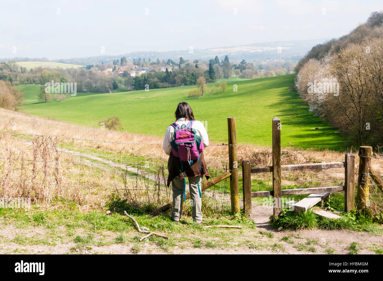 A walker on the North Downs Way looking across the parkland of Gatton Park designed by Lancelot 'Capability' Brown - green belt south of London. Stock Photo