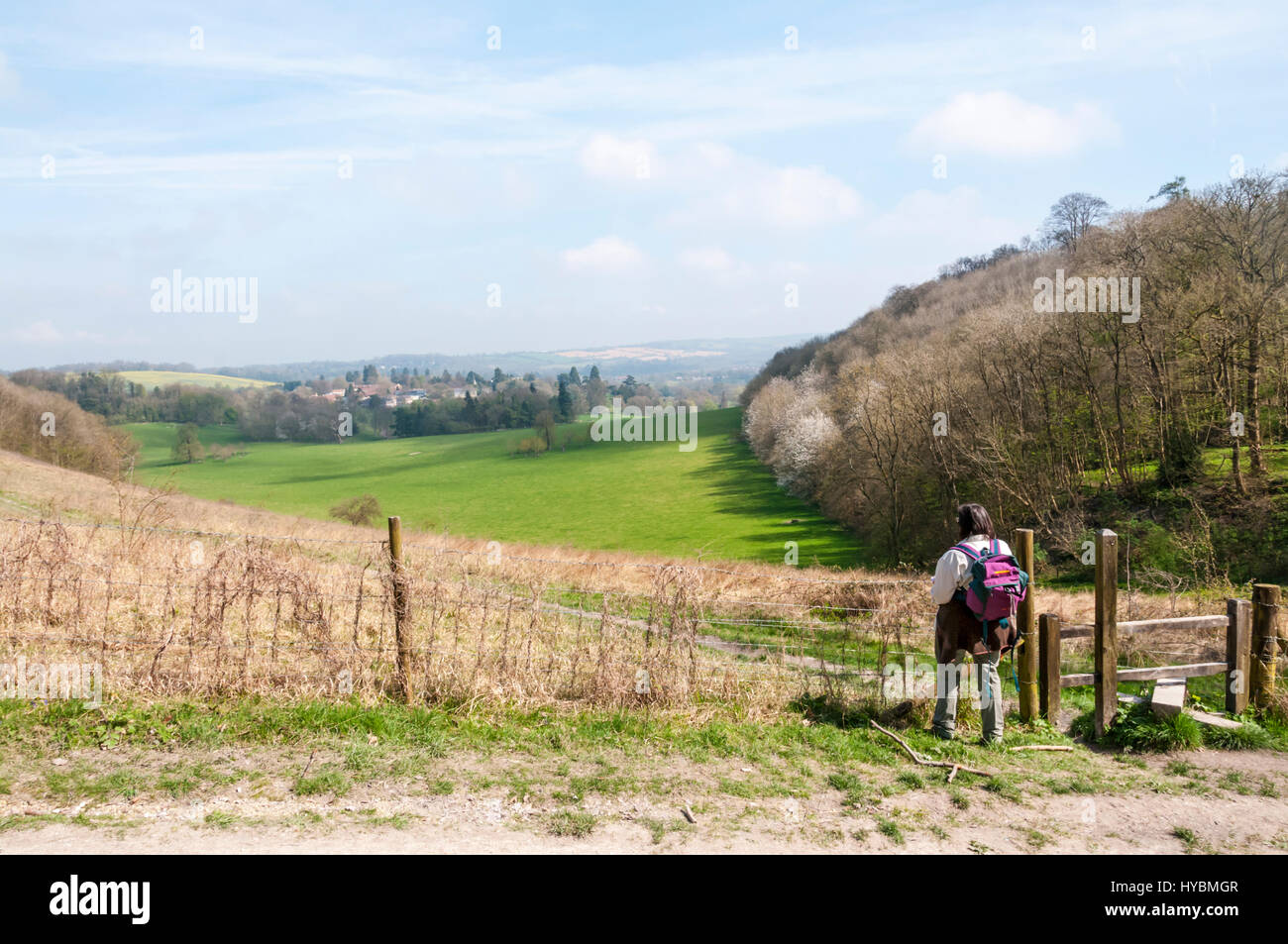 A walker on the North Downs Way looking across the parkland of Gatton Park designed by Lancelot 'Capability' Brown in the green belt south of London. Stock Photo