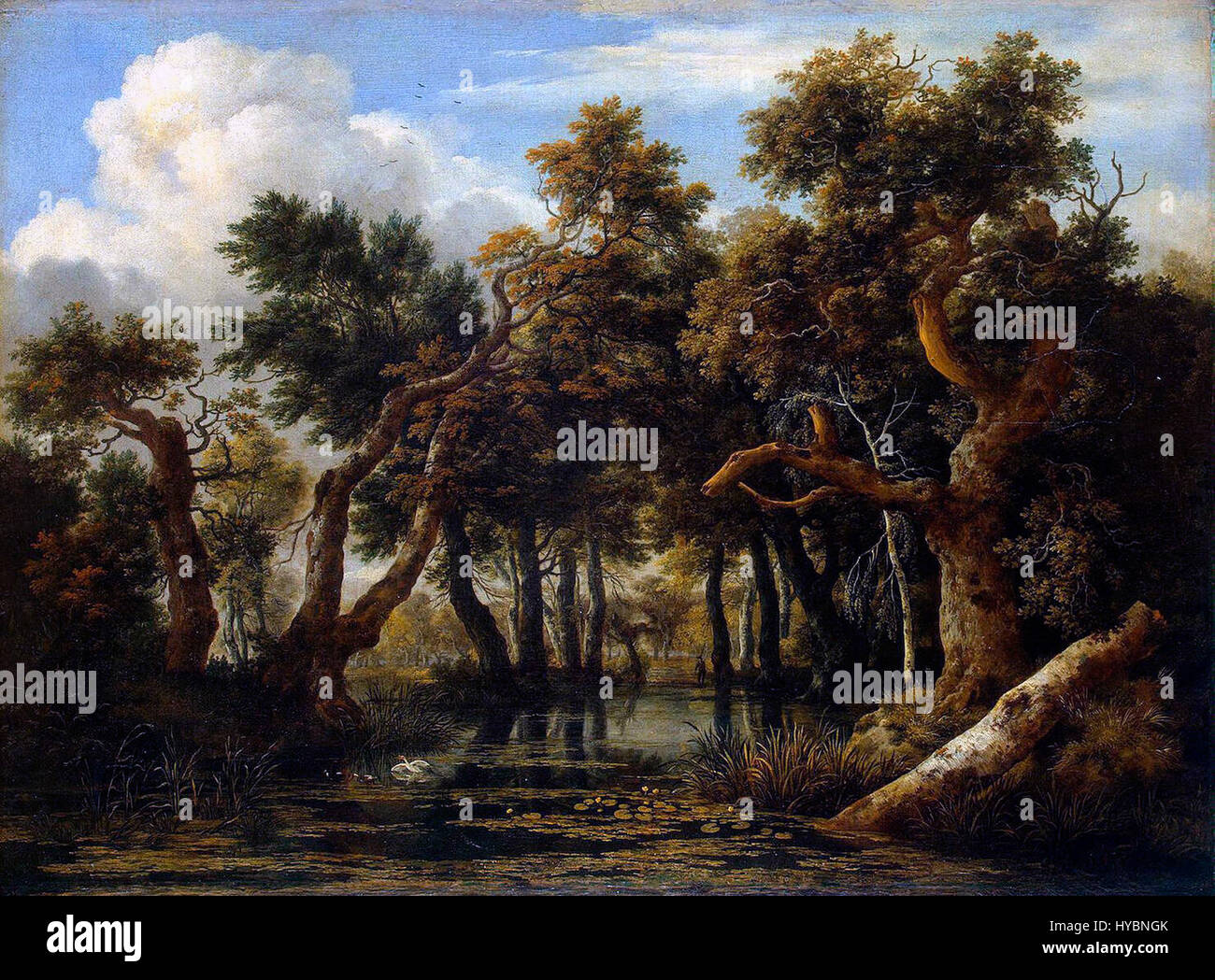 Jacob Isaaksz. van Ruisdael 015 Stock Photo