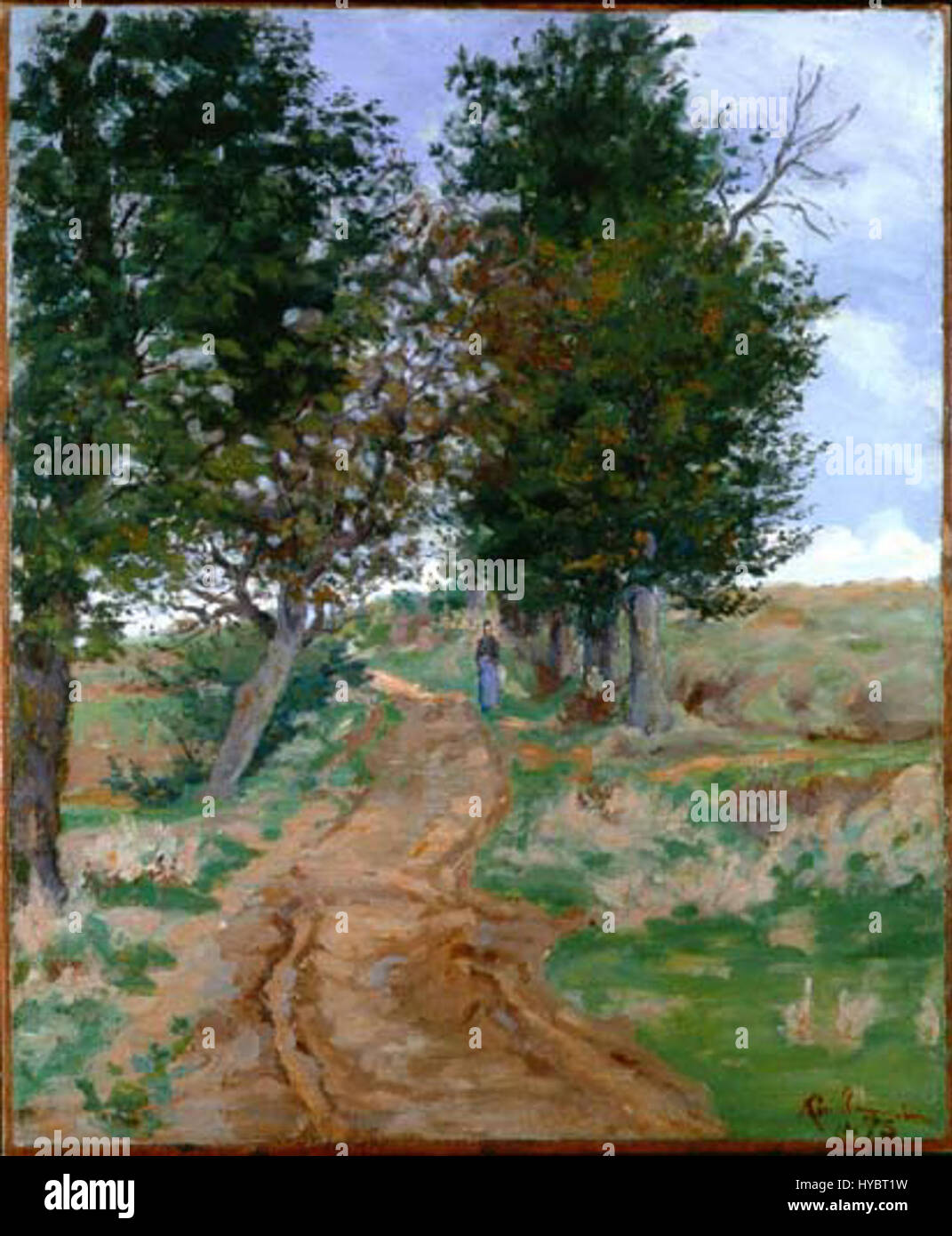 Camino en el bosque hi-res stock photography and images - Alamy