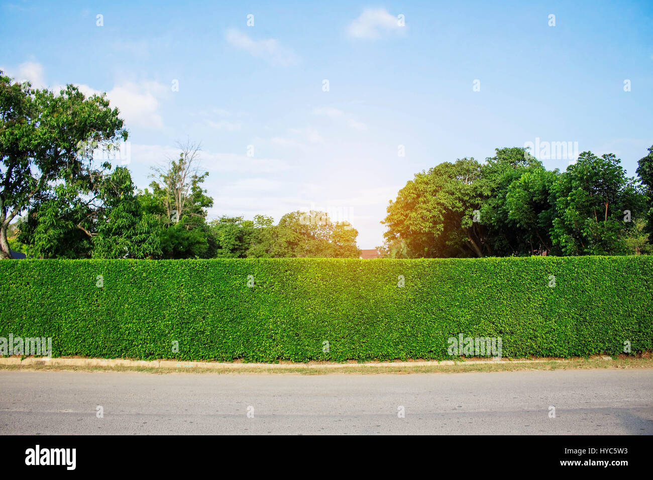 Ornamental of fence in backyard with the blue sky Stock Photo - Alamy