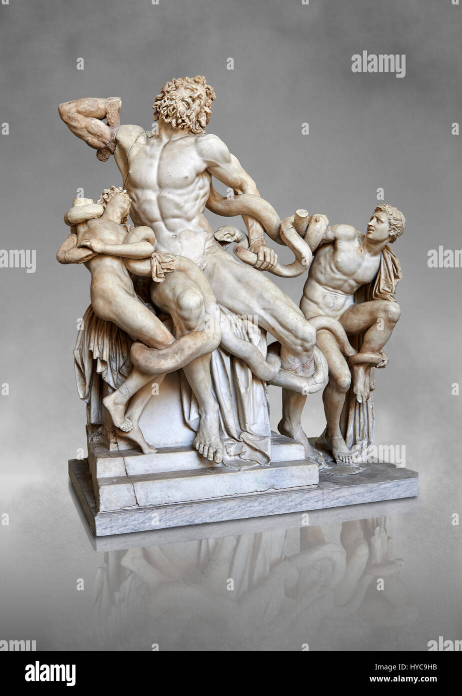 Statue group identified as as the Laocoon described by Pliny as a