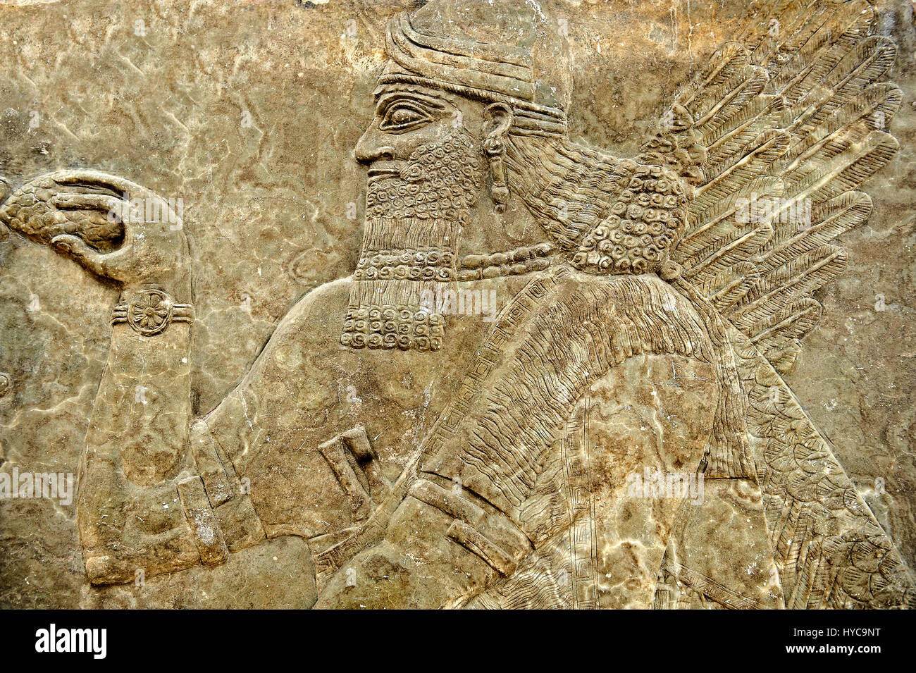 Chaldean Assyrian relief sculpture slab from the northwest palace of King Ashurnasirpal II of a Genie standing in front of the tree of life. 881-859 B Stock Photo