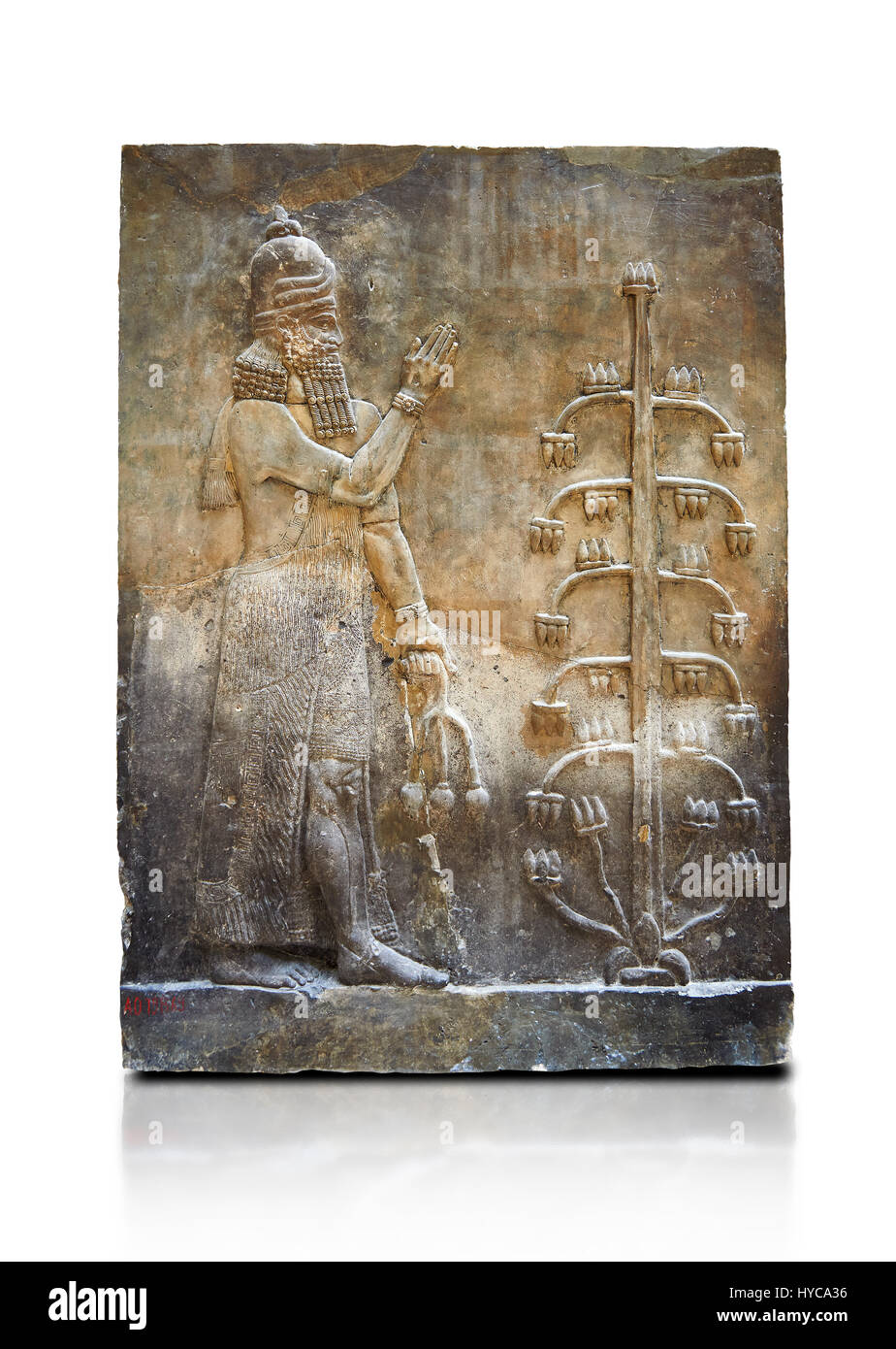 Stone relief sculptured panel of a Genie with poppy seed heads next ro the tree of life.  Inv AO 19869 from Dur Sharrukin the palace of Assyrian king  Stock Photo