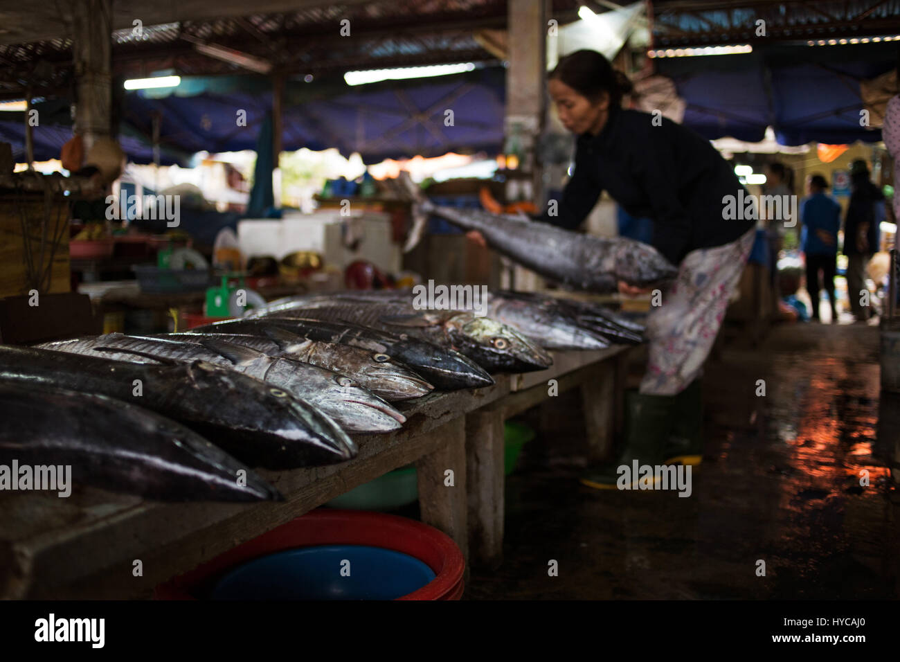 fish market place, hoian, vietnam Stock Photo - Alamy