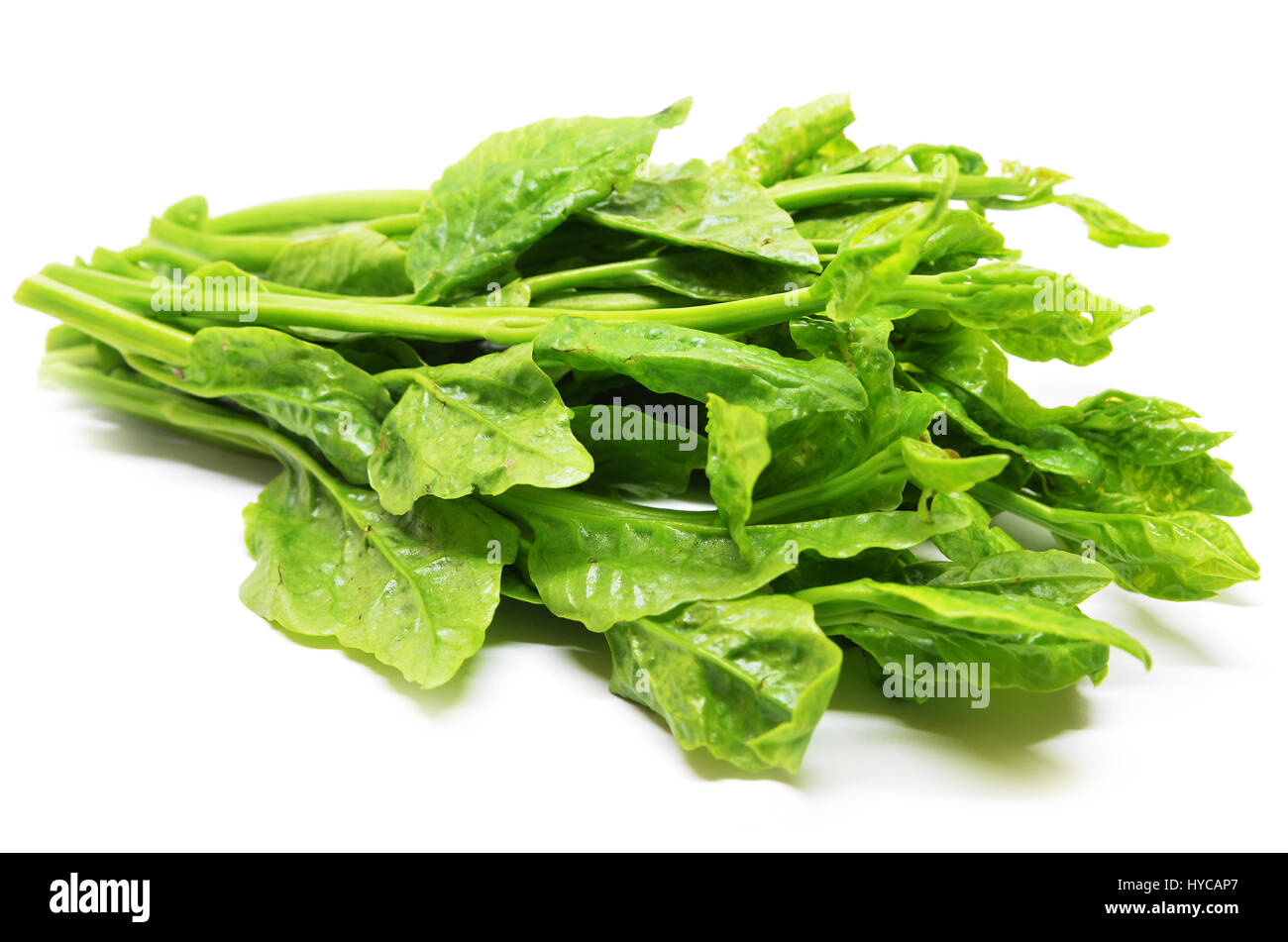 Di Huang Miao High Resolution Stock Photography And Images Alamy
