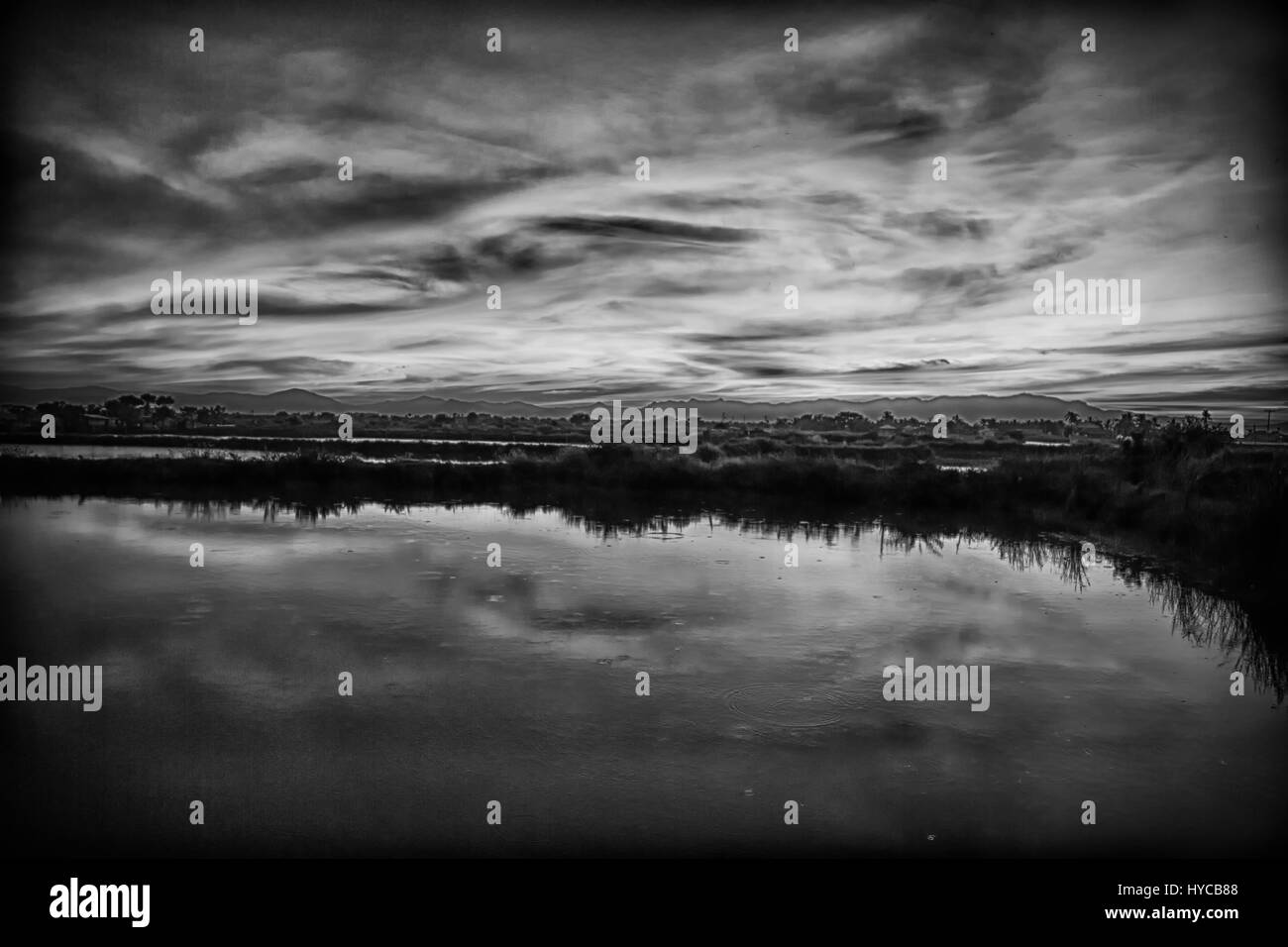 Bush Sunrise With Silhouette Black and White Stock Photos & Images - Alamy