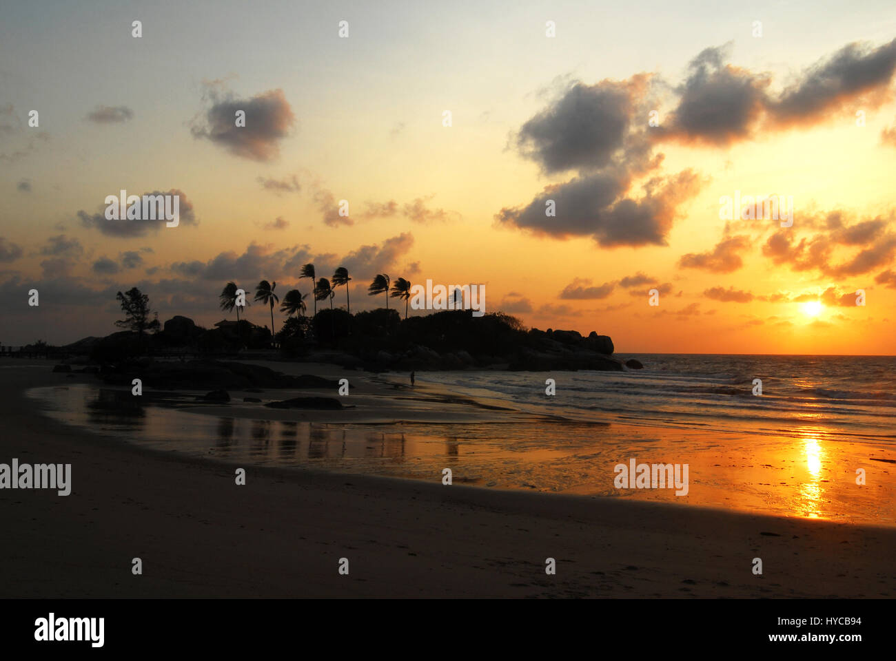 Palm tree silhouette at the beach during orange sunset and clouds in ...