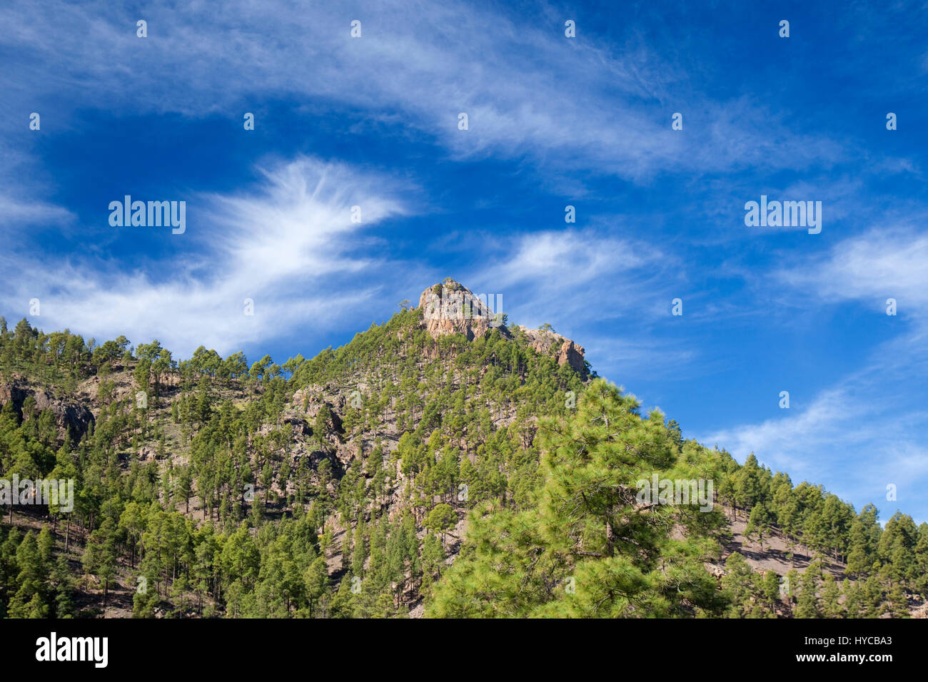 Central Gran Canaria, protected area of Integral Nature Reserve Inagua Stock Photo