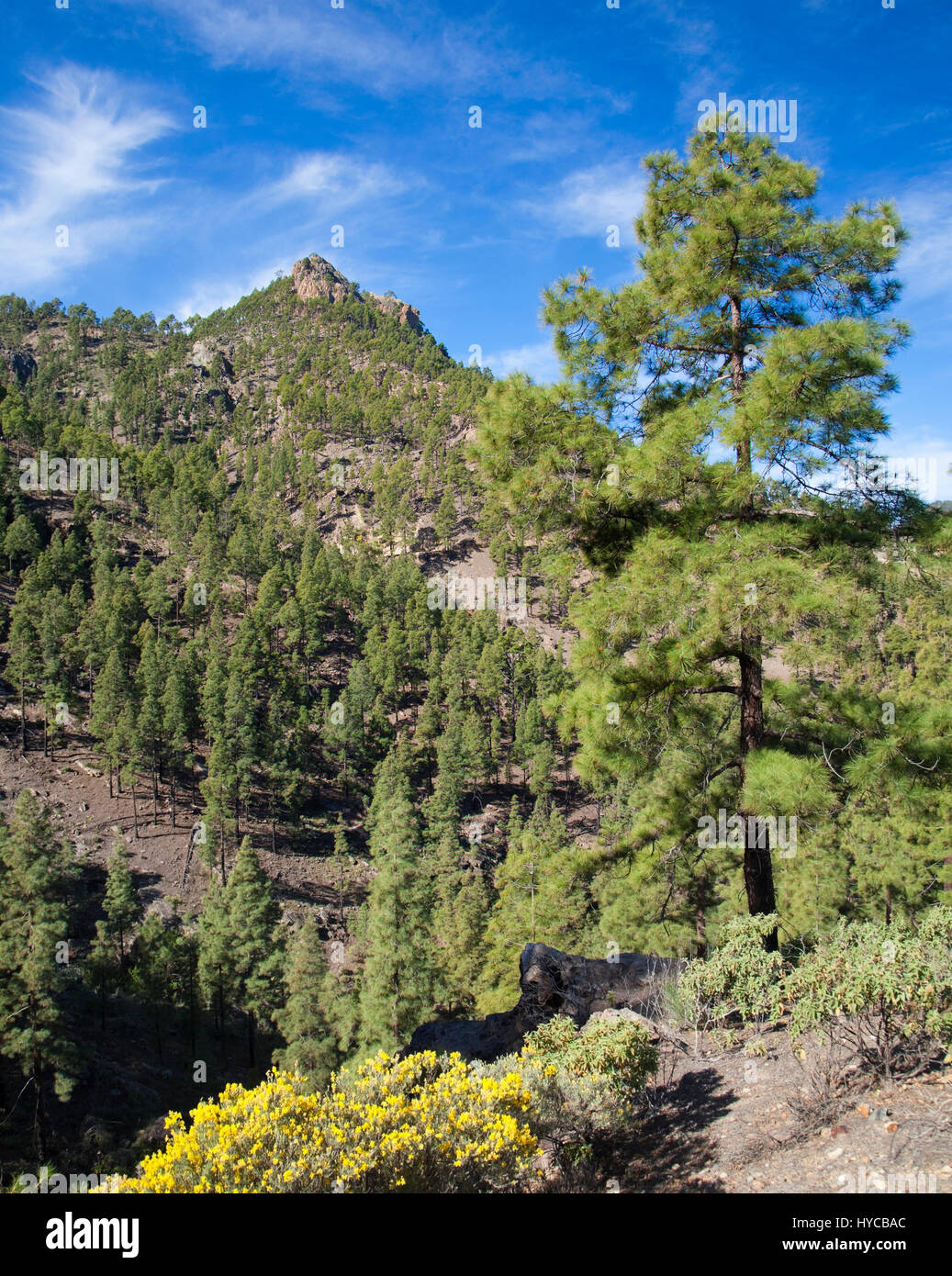 Central Gran Canaria, protected area of Integral Nature Reserve Inagua Stock Photo