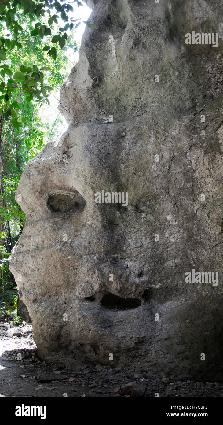 Grey natural rock at daytime that looks like a face with eye mouth and nose in Flores, Indonesia. Stock Photo
