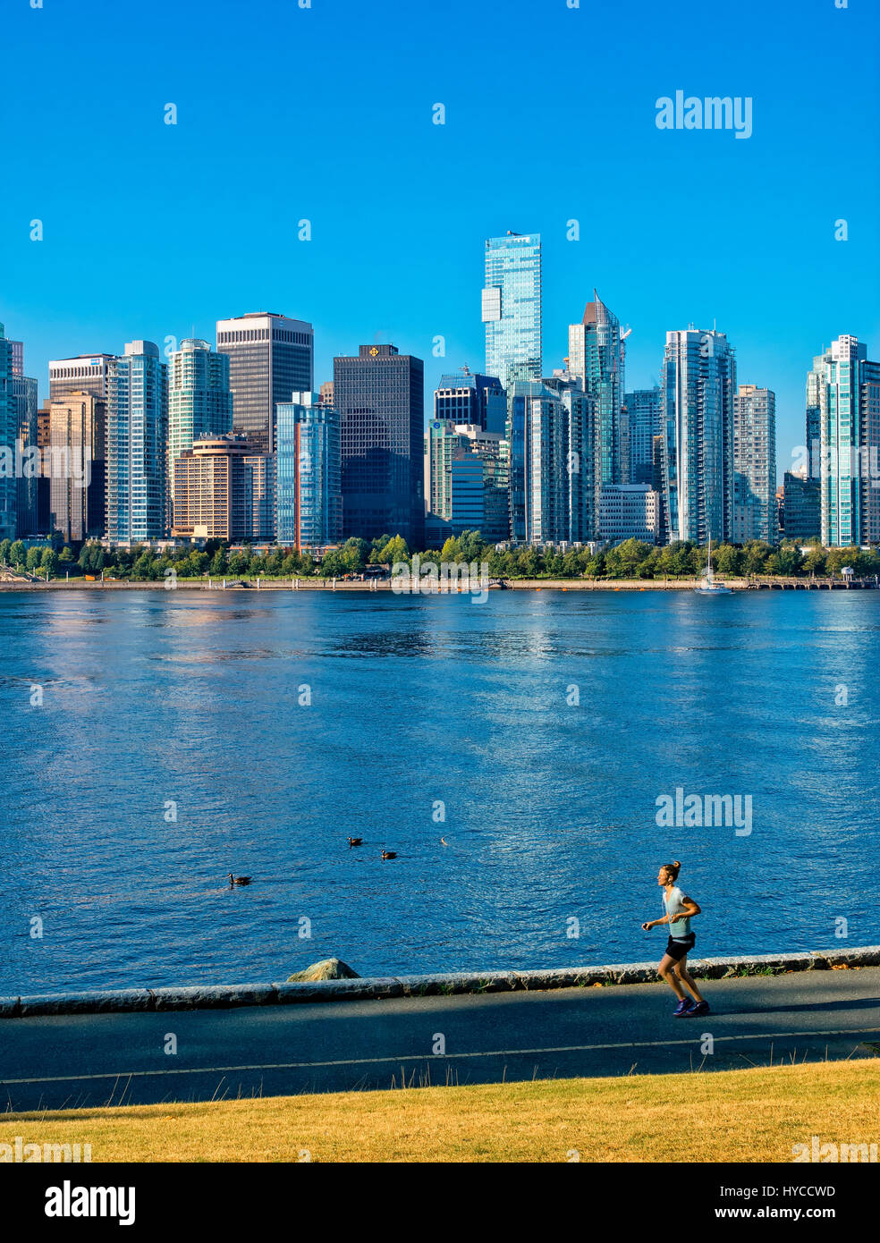 Downtown skyline of Vancouver as seen from Stanley Park Stock Photo - Alamy