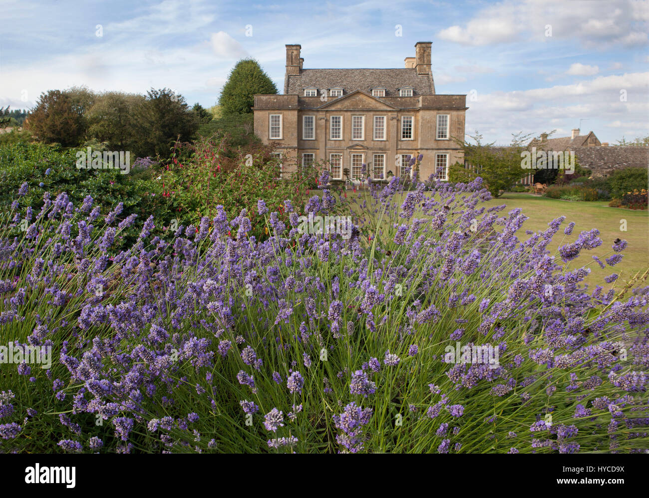 Bourton House Garden,Bourton-0n-the-Hill,Moreton-in-Marsh,Gloucestershire GL56 9AE: lavender Stock Photo
