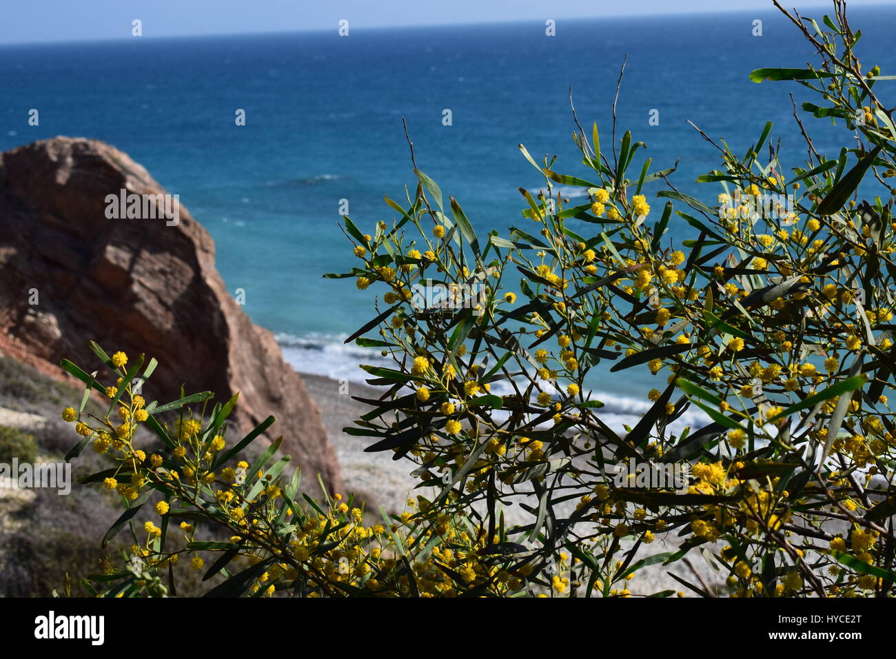 Waters summer sea beach hi-res stock photography and images - Alamy