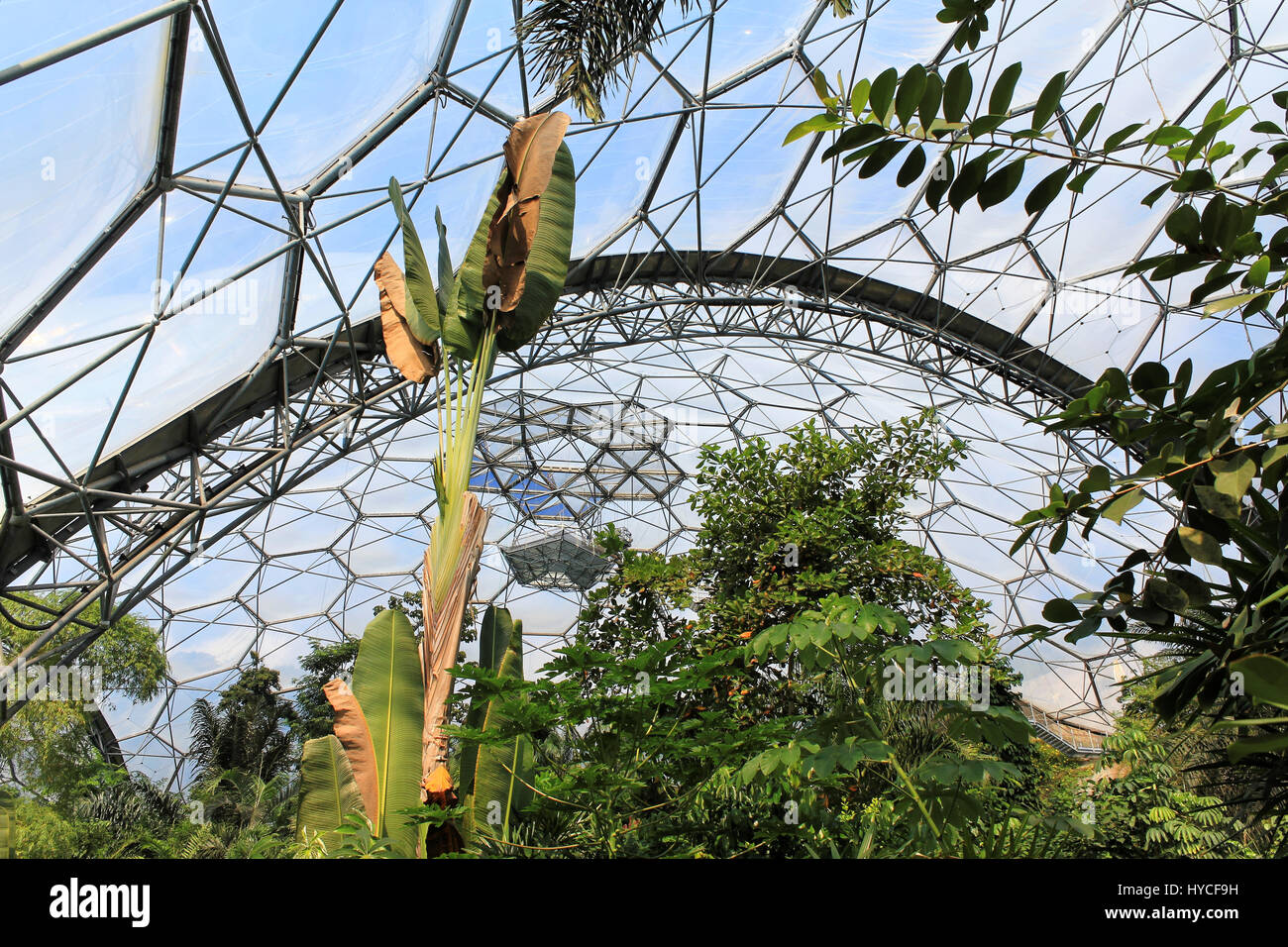 Eden Project, Cornwall, England – August 24, 2010: The world's largest rainforest in captivity with steamy jungles and waterfalls. Educational centre. Stock Photo
