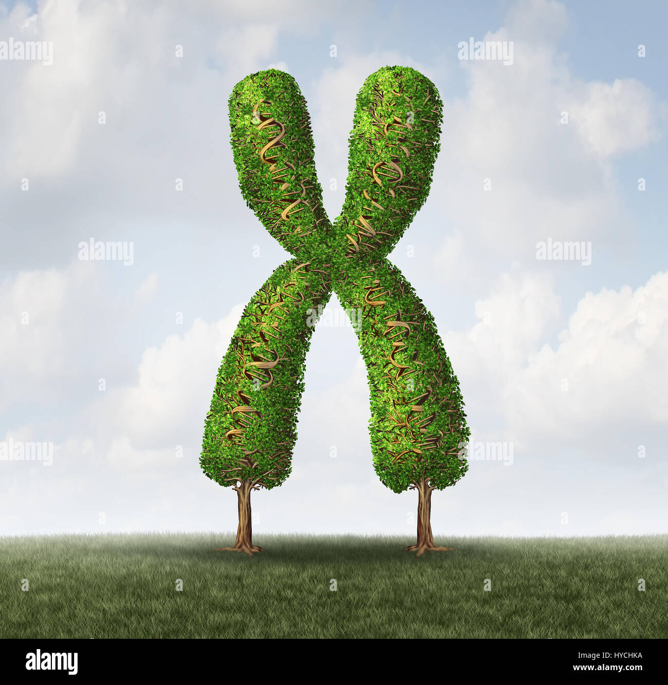 Genetic health concept as a tree shaped as a chromosome with branches shaped as dna double helix strand as a microbiology. Stock Photo
