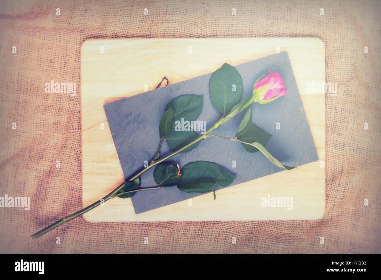 Single rose cut up on piece of slate Stock Photo - Alamy