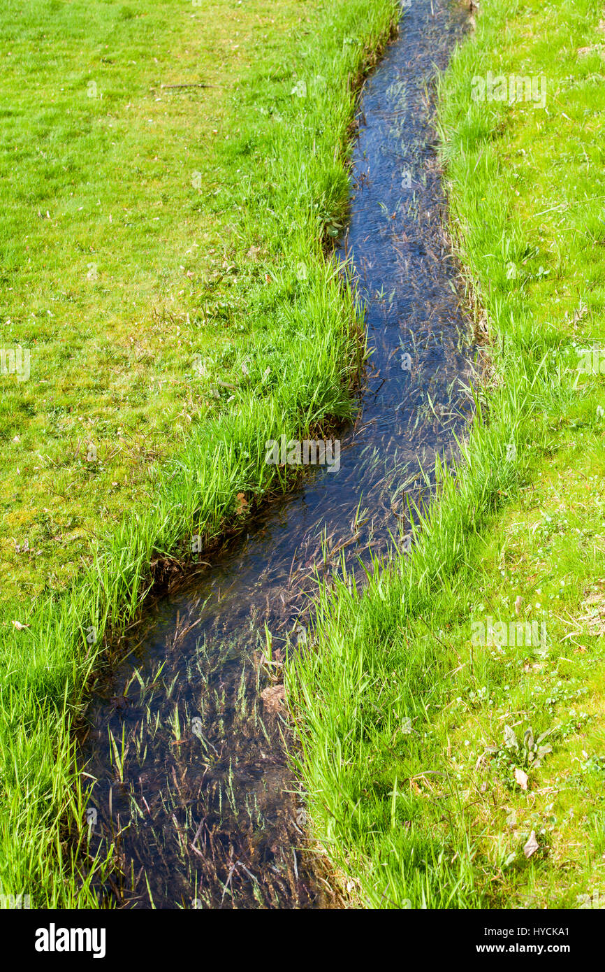 A little creek in a green meadow Stock Photo