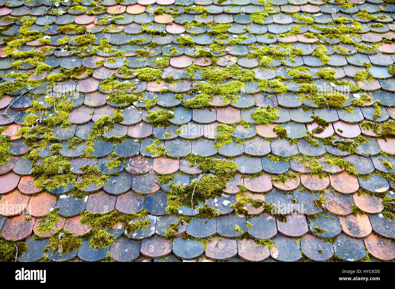 An old roof with moss Stock Photo