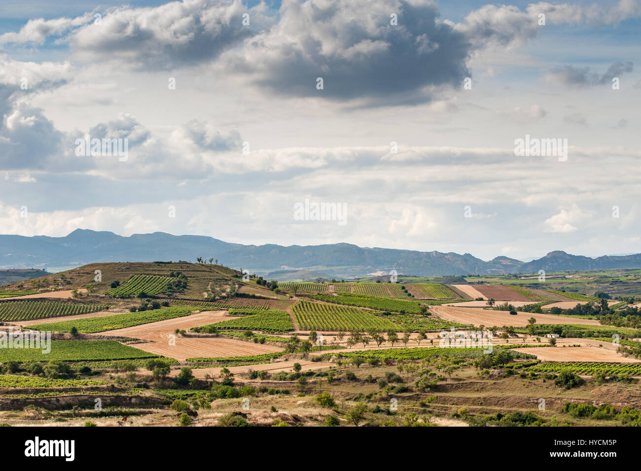 Rioja region landscape hi-res stock photography and images - Alamy