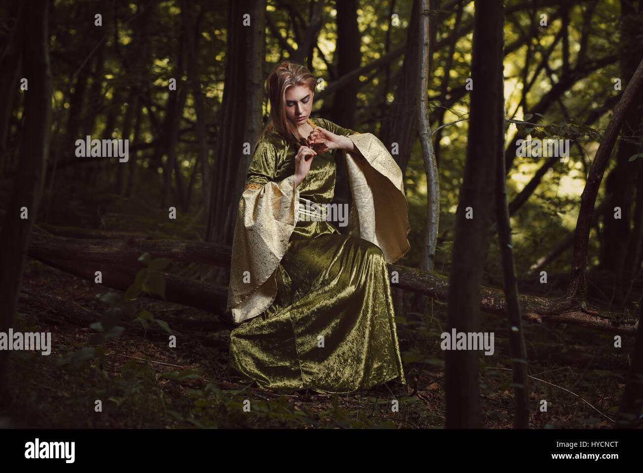 Elfin maiden posing in fairy forest. Dark fantasy Stock Photo