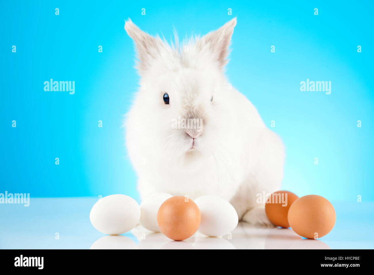 White Easter Bunny sitting in green grass with colored eggs around ...