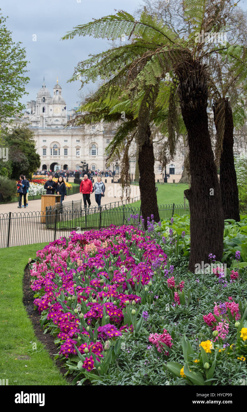 St James Park spring flowerbed with tulips. City of Westminster. London Stock Photo