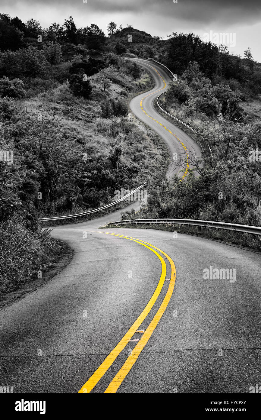 Scenic monochrome view of narrow curvy road and rural landscape with selective color, Kauai, Hawaii, USA Stock Photo