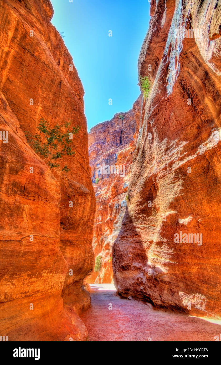 Road inside the Siq Canyon at Petra Stock Photo