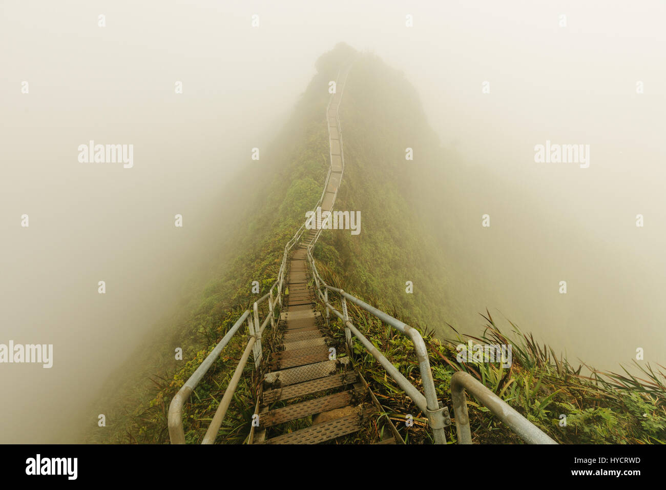 Haiku Stairs is a slippery and secretive hike on oahu Stock Photo