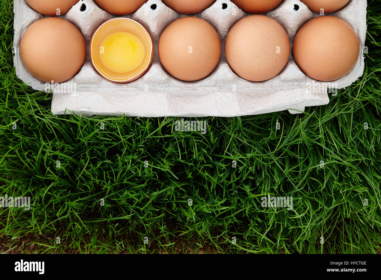Natural brown eggs box in green grass Stock Photo - Alamy