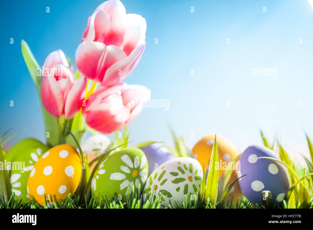 Easter eggs hiding in the grass with tulips Stock Photo