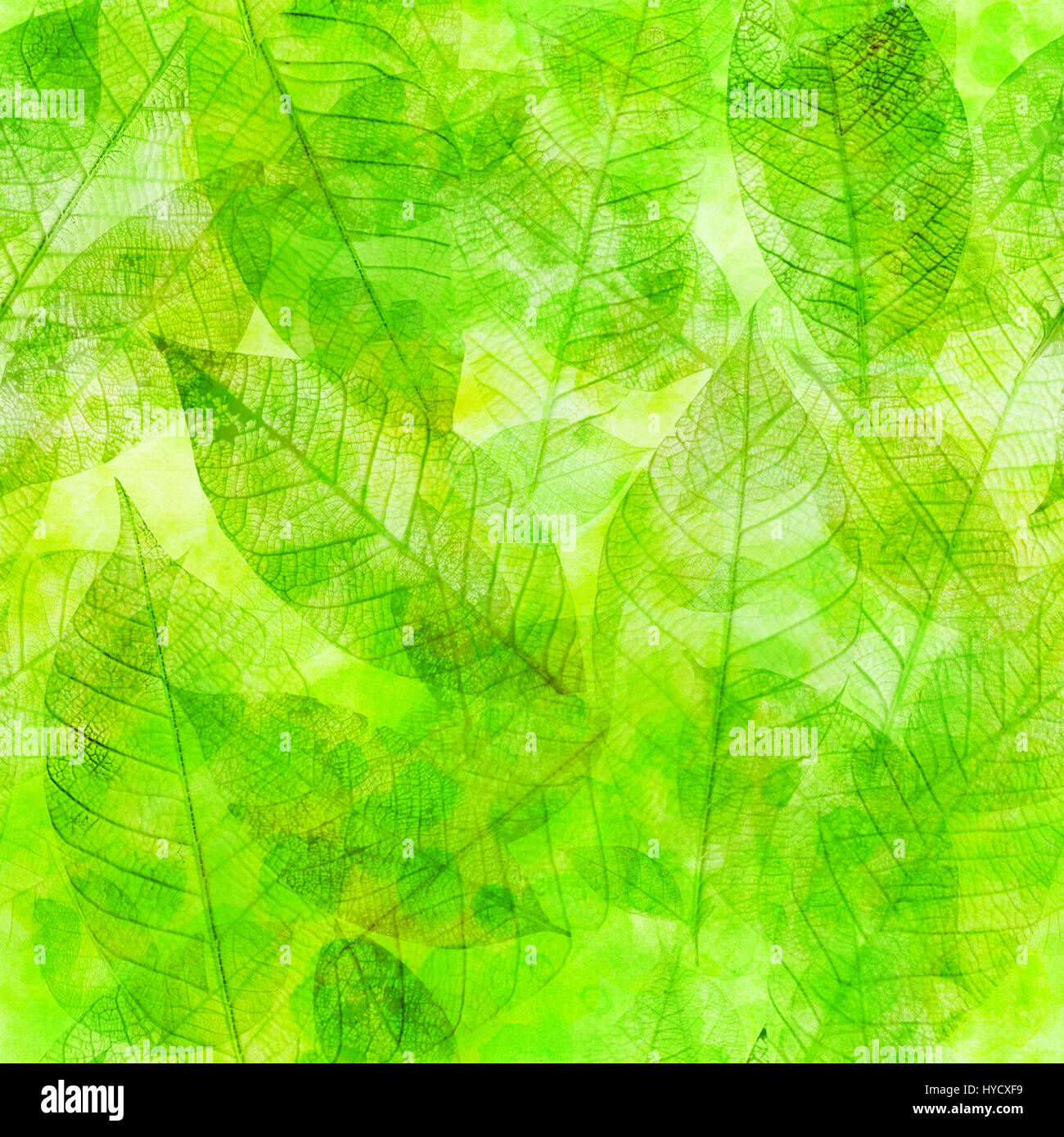 Seamless background pattern of green skeleton leaves Stock Photo Alamy