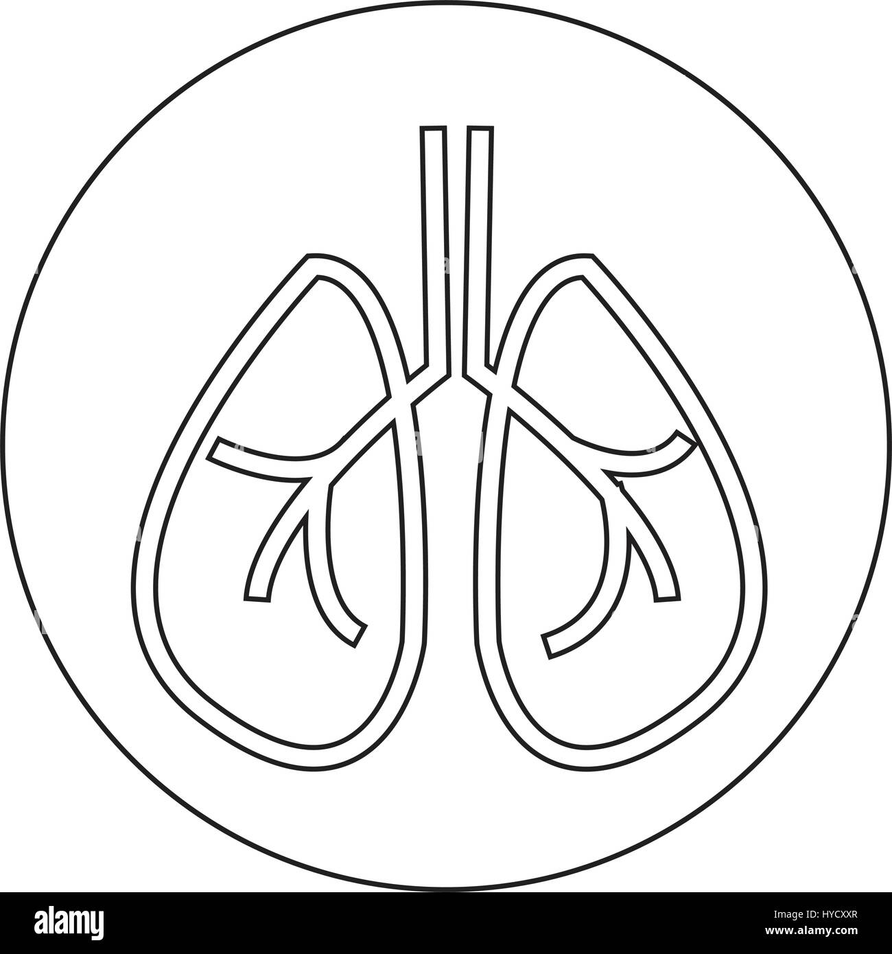 Lungs anatomy smoker Black and White Stock Photos & Images - Alamy