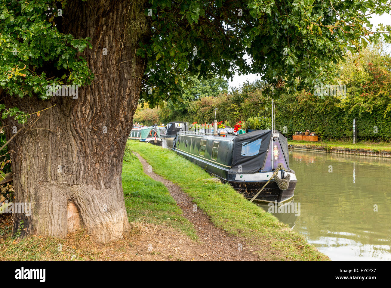 Alley along canal in park hi-res stock photography and images - Alamy