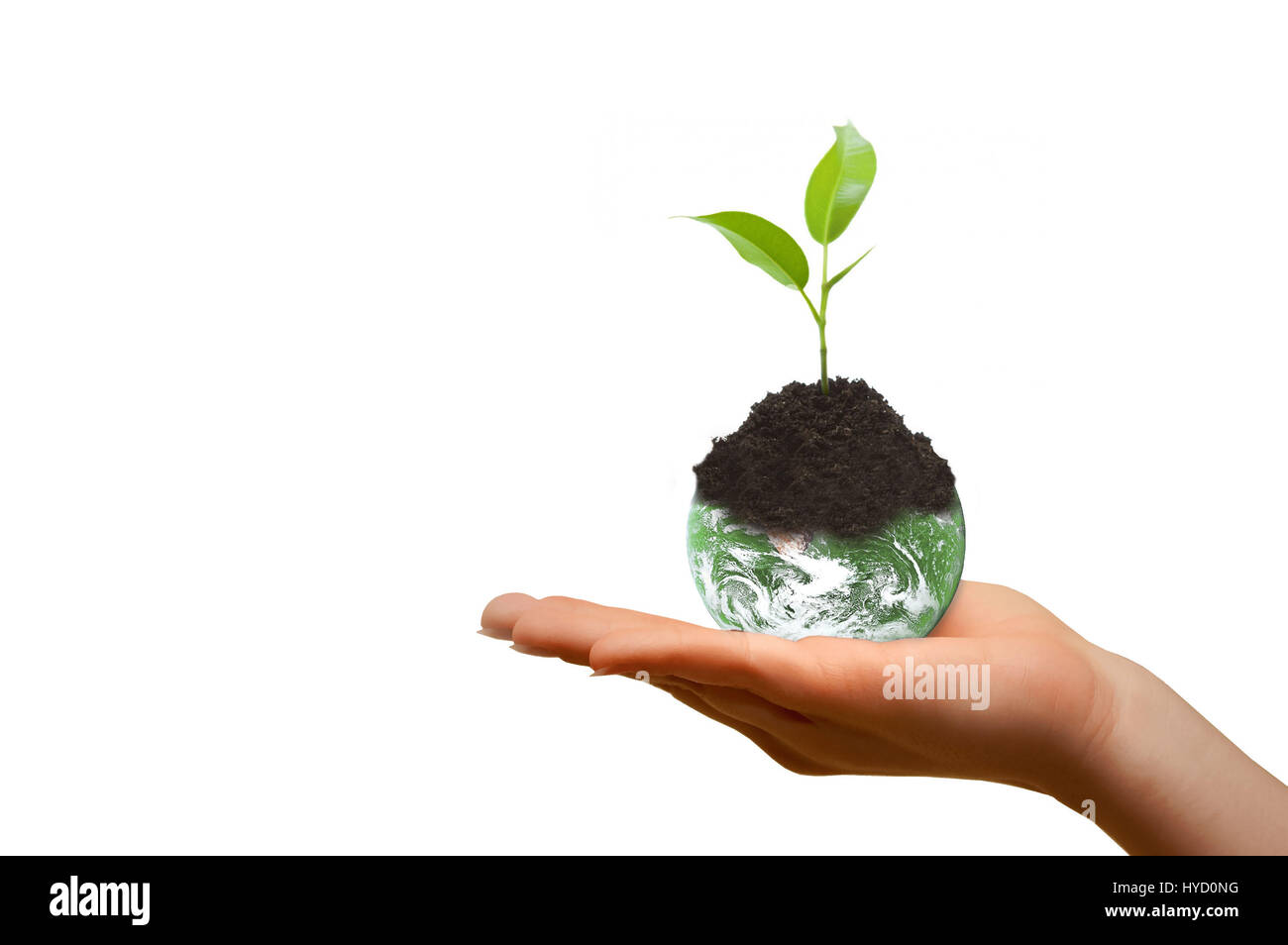 hand holding up the planet earth with seedling on white background Stock Photo