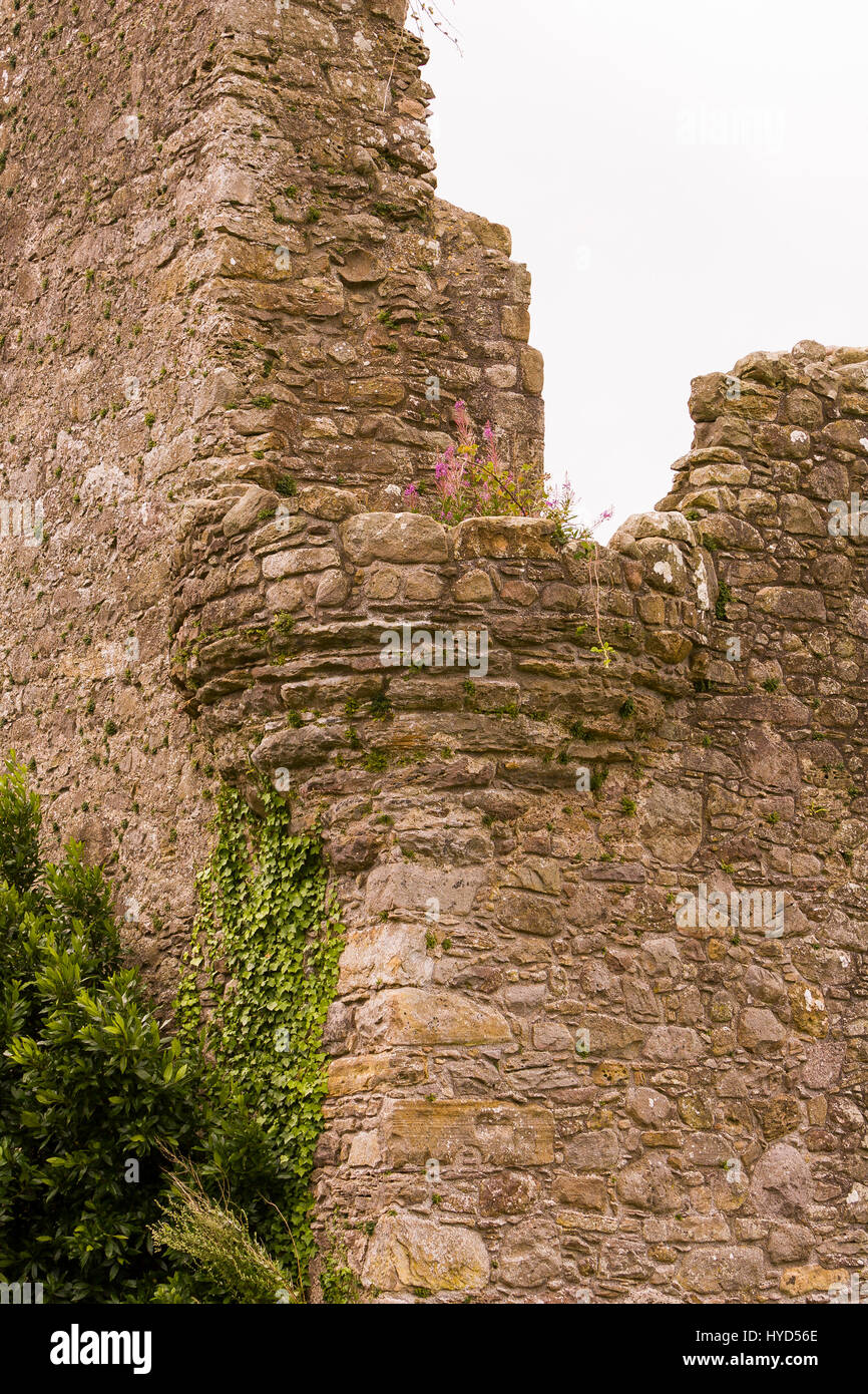 TULLY CASTLE, NORTHERN IRELAND - Ruins of Tully Castle, near Enniskillen, on Lower Lough Erne. Tully Castle, built early 1600s, in County Fermanagh, near the village of Blaney. Stock Photo