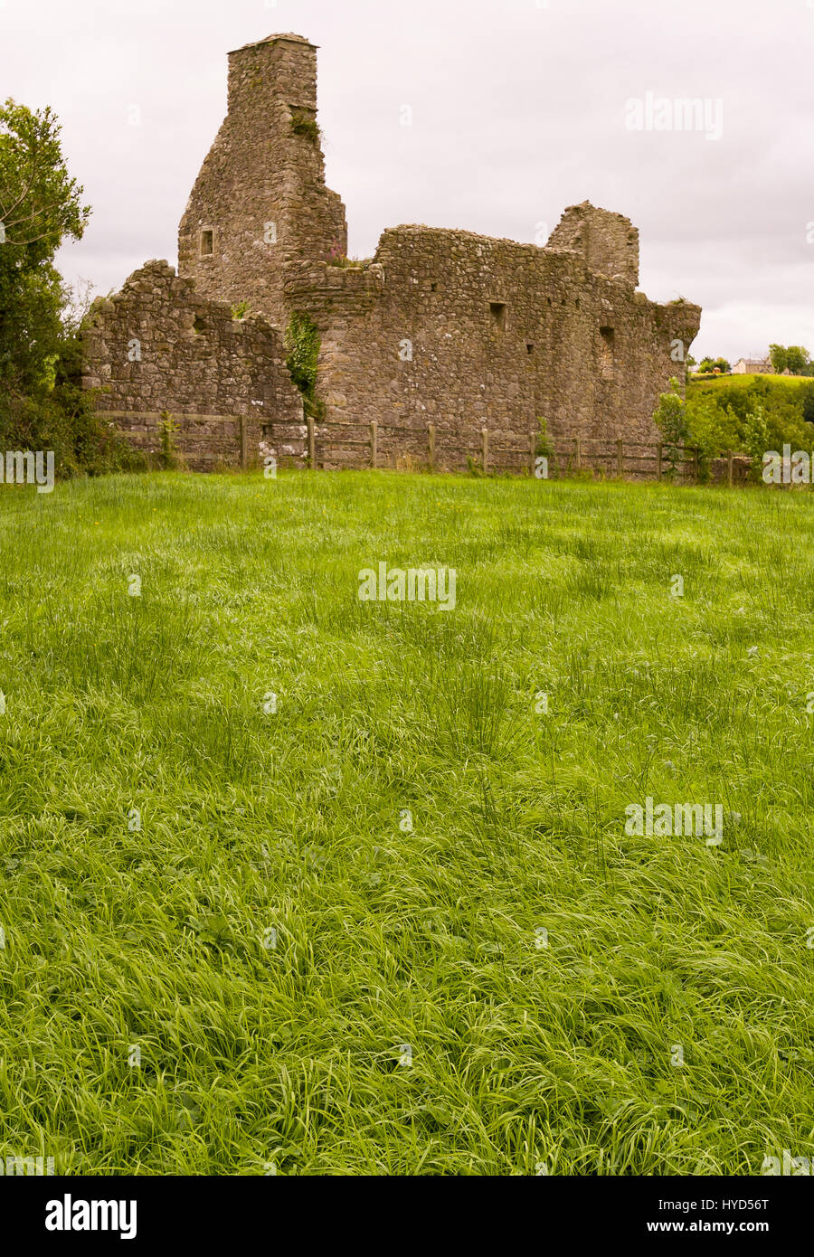 TULLY CASTLE, NORTHERN IRELAND - Ruins of Tully Castle, near Enniskillen, on Lower Lough Erne. Tully Castle, built early 1600s, in County Fermanagh, near the village of Blaney. Stock Photo