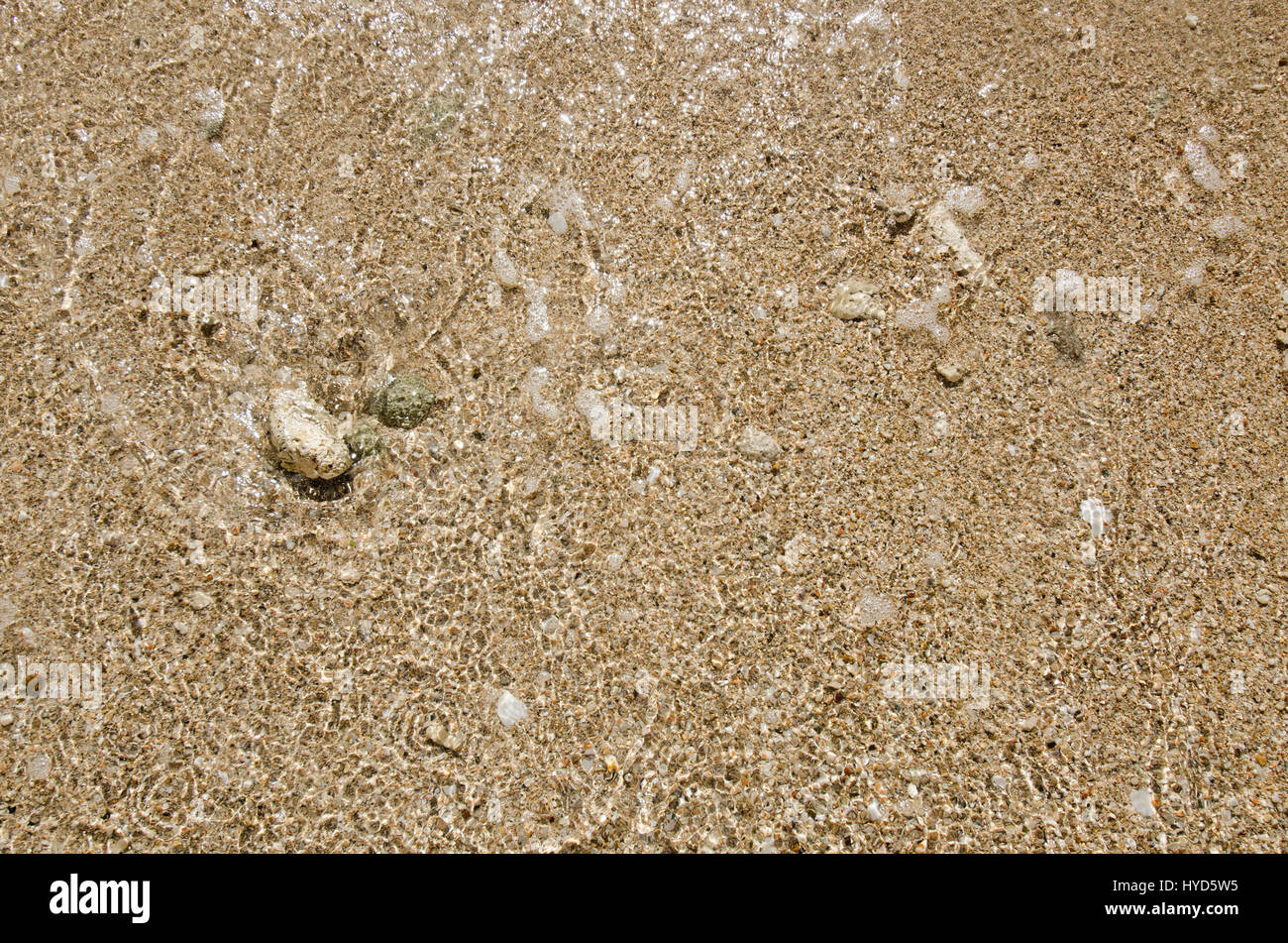 Puerto Rico, Coco Beach, Sand with stones and shells Stock Photo