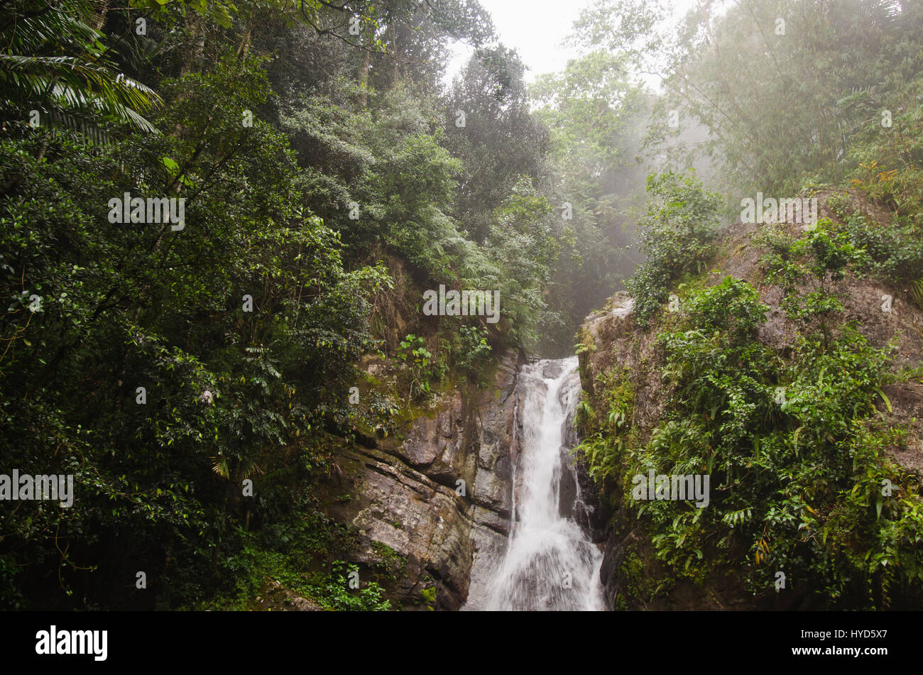 Puerto Rico, El Yunque National Forest, La Mina Falls In Forest Stock ...