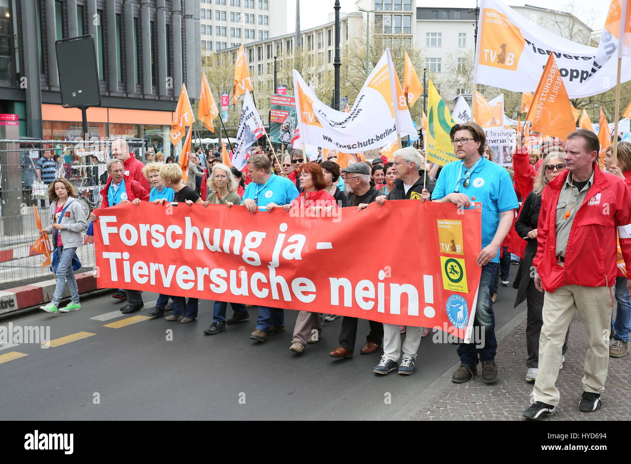 Animal Experiment Cat Stock Photos & Animal Experiment Cat Stock Images