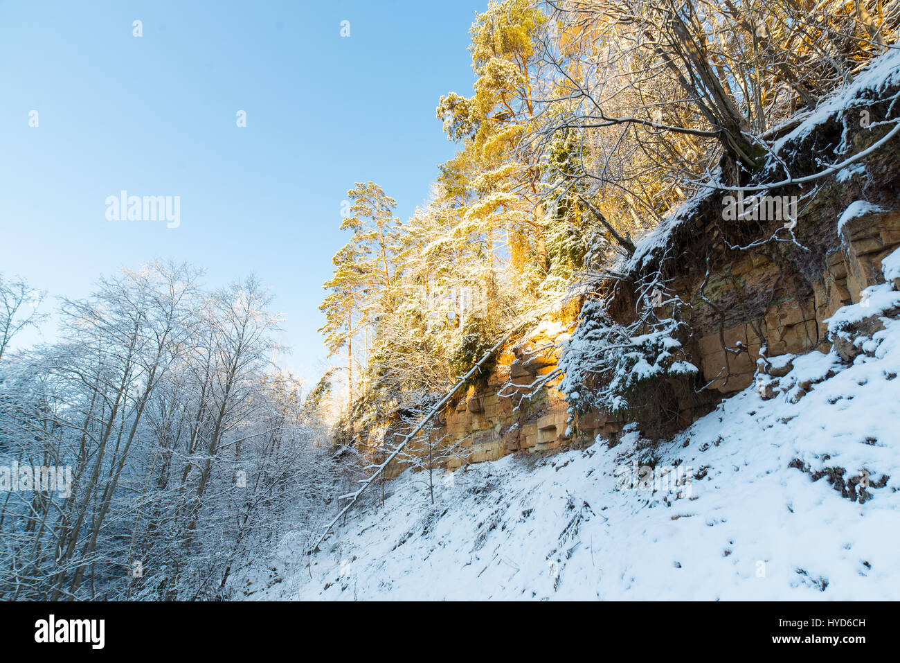 snowy winter forest landscape with snow covered trees and blue sky ...