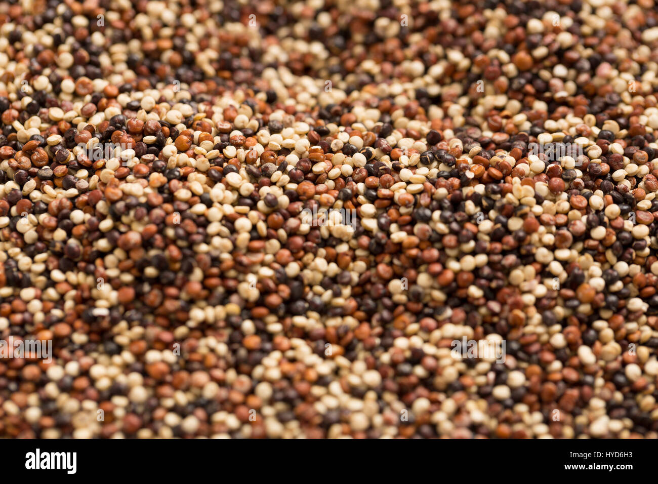 Closeup of quinoa Stock Photo Alamy