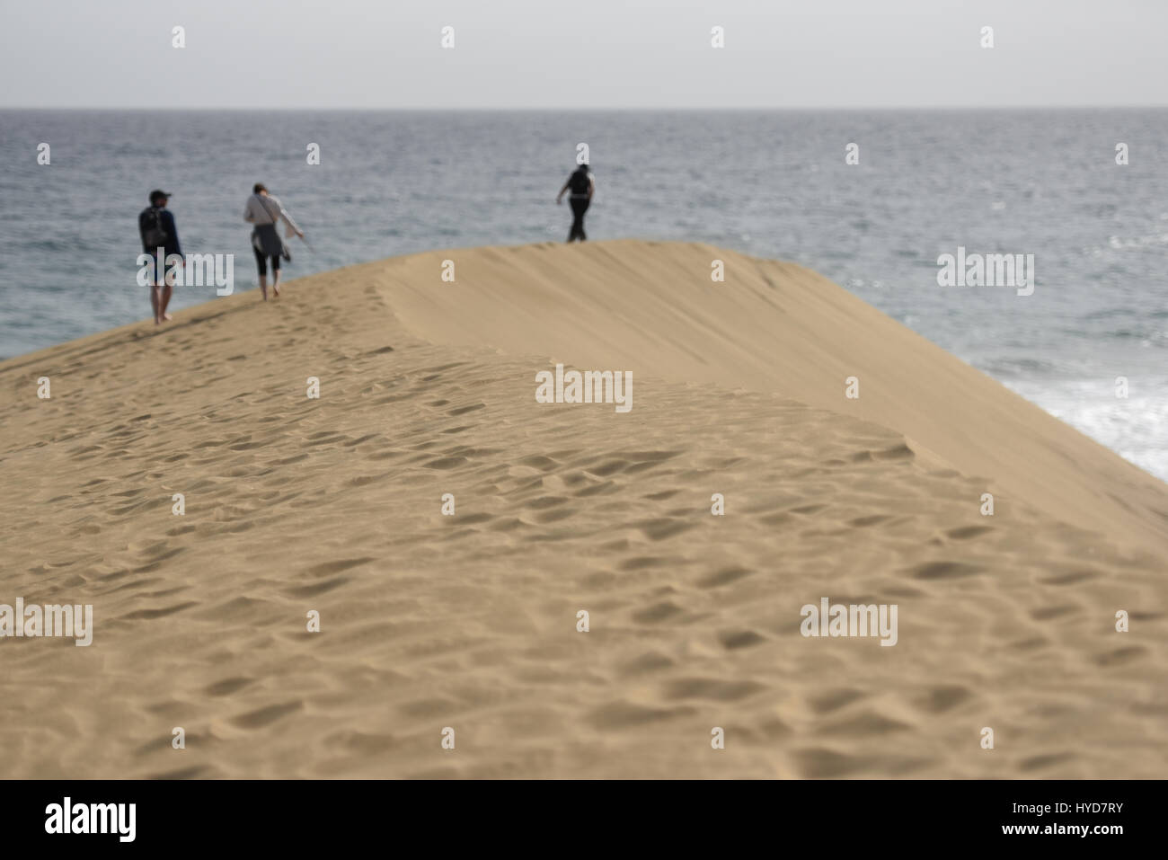 People on sand dunes Stock Photo - Alamy
